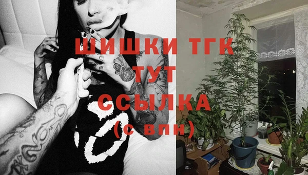 бошки Верхний Тагил