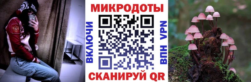 Псилоцибиновые грибы Psilocybe  Гаврилов-Ям 