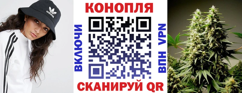 Каннабис планчик Гаврилов-Ям